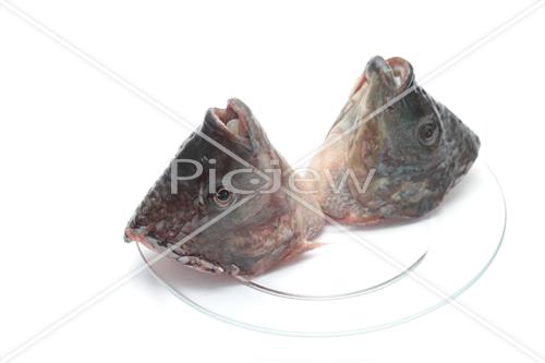 fish head