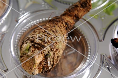 simanim for seder night - maror, horseradish 