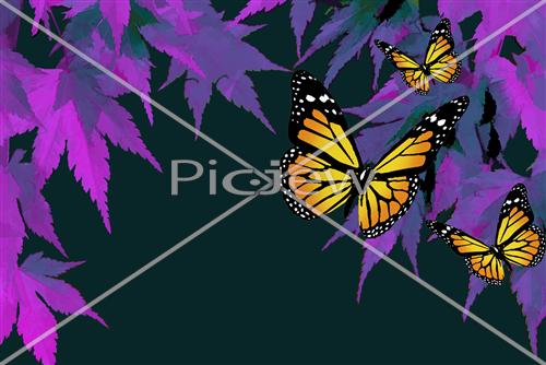 leaves and butterfly