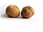 two walnuts on white background
