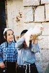 קיום מנהג כפרות עם תרנגול בערב יום כיפור בירושלים