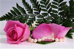 pink roses with a string of pearls on background of green leaf