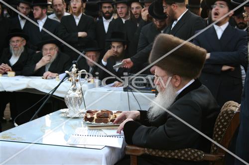 תשליך בסדיגורה