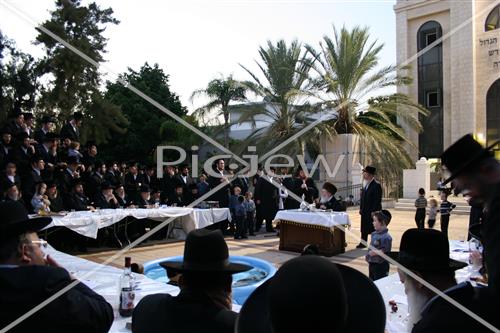 תשליך בסדיגורה