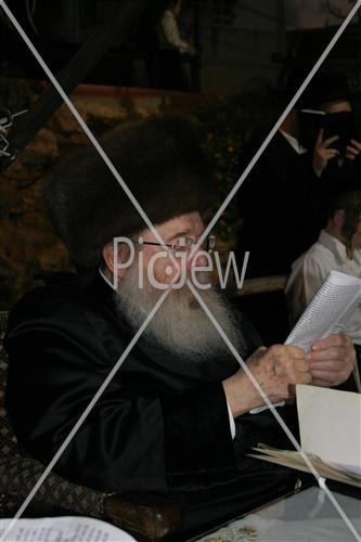 תשליך בסדיגורה