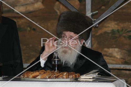 תשליך בסדיגורה