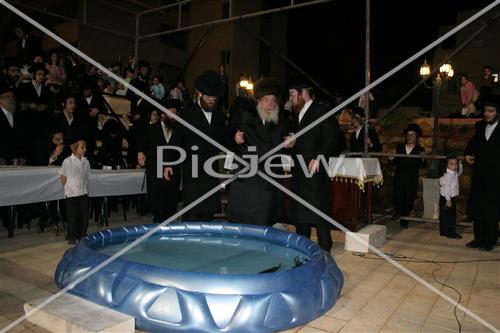 תשליך בסדיגורה