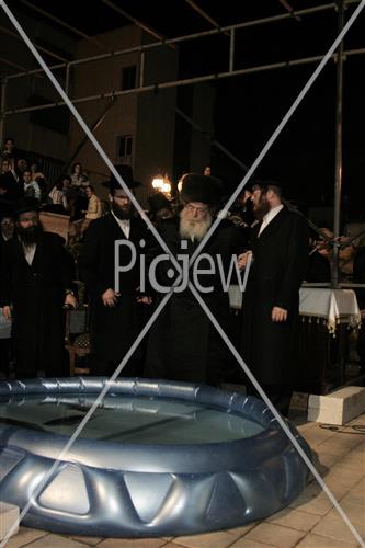 תשליך בסדיגורה