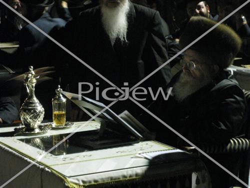 תשליך בסדיגורה