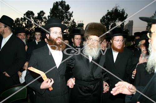 תשליך בסדיגורה