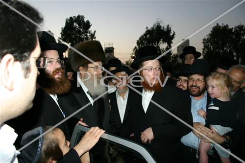 תשליך בסדיגורה