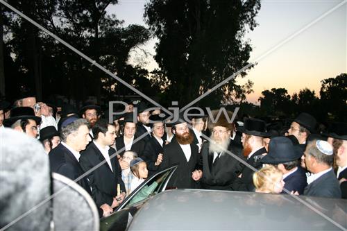 תשליך בסדיגורה