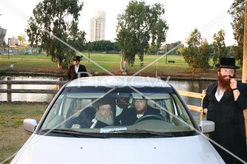 תשליך בסדיגורה