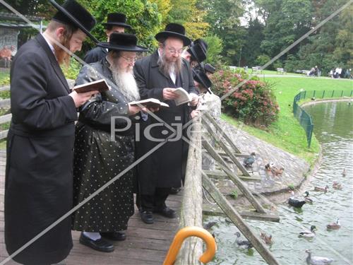 תשליך בז'מיגראד