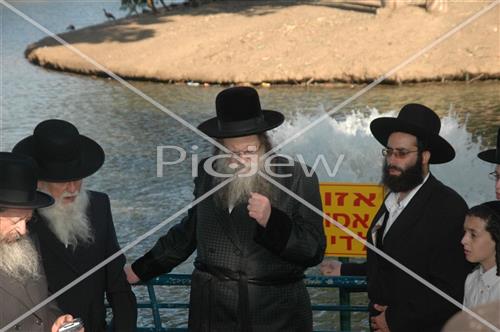 תשליך במודז'יץ 