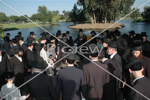 תשליך במודז'יץ 