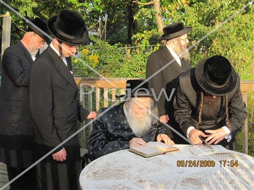 תשליך בנדבורנה