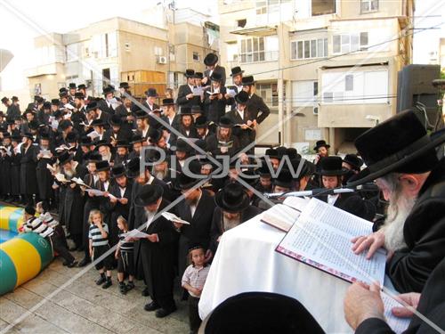 תשליך בנדבורנה
