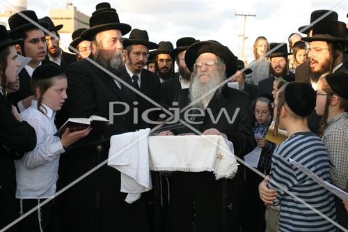 תשליך בנדבורנה