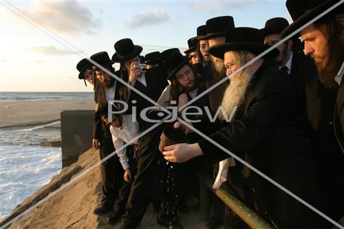 תשליך בנדבורנה