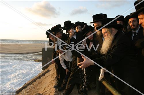 תשליך בנדבורנה