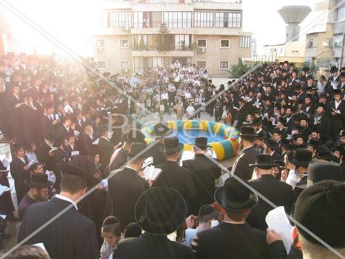 תשליך בנדבורנה