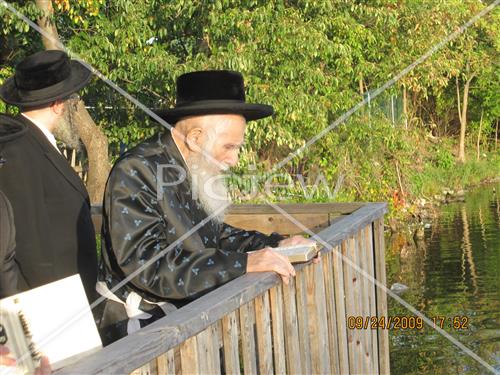 תשליך בנדבורנה