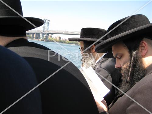 תשליך בסאטמר