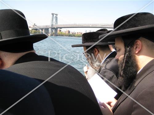 תשליך בסאטמר