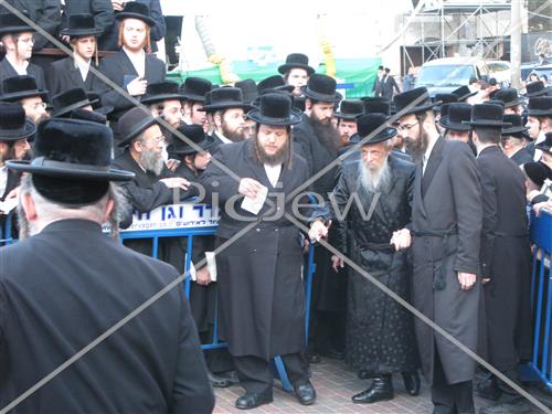 תשליך בסערט ויז'ניץ