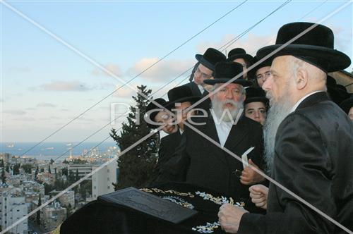 תשליך בסערט ויז'ניץ