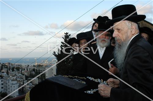 תשליך בסערט ויז'ניץ