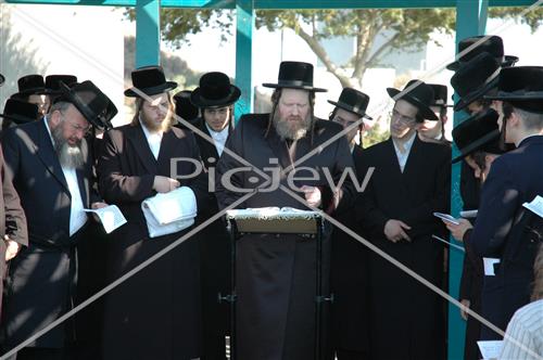 תשליך בפיטסבורג