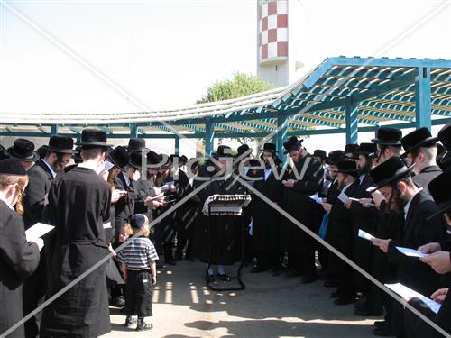 תשליך בפיטסבורג