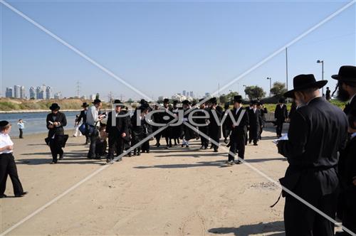 תשליך בפרמישלאן