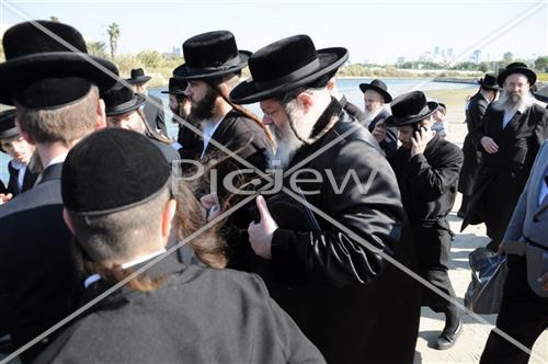 תשליך בפרמישלאן