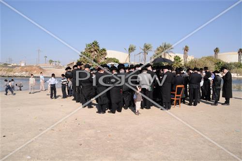 תשליך בפרמישלאן
