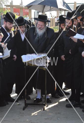 תשליך בפרמישלאן