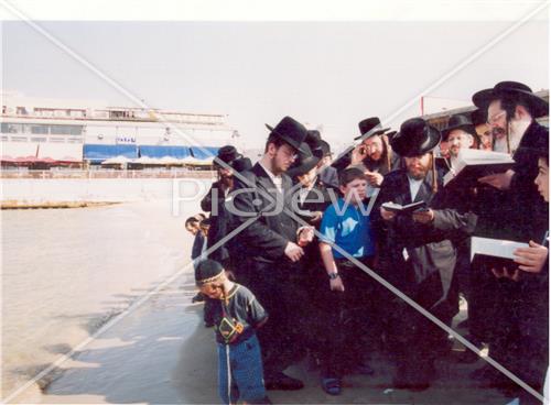 תשליך בפרמישלאן