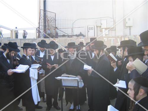 תשליך בפרמישלאן