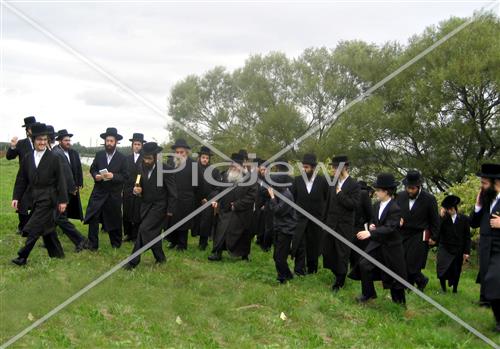 תשליך בפשעווארסק