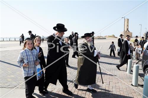 תשליך בצאנז