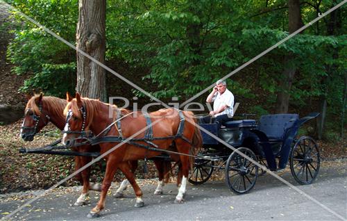 A wagon