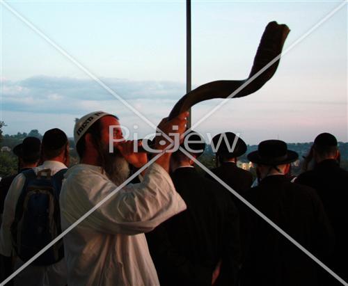 Stick shofar