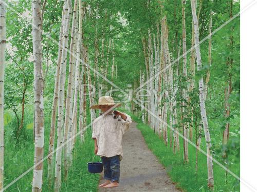 boy in the forest