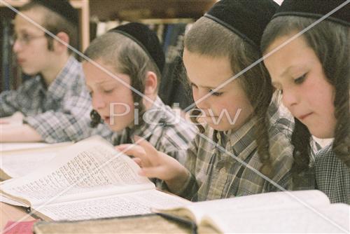 לימוד בתלמוד תורה