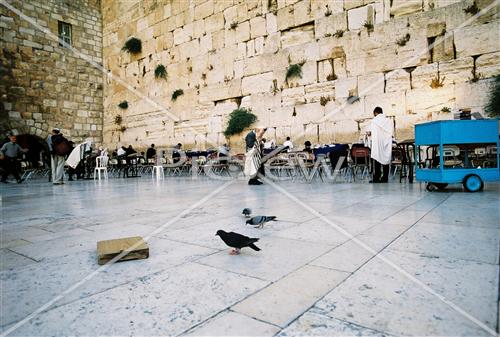 Prayer near the Kotel