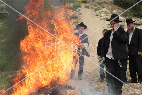 שריפת חמץ