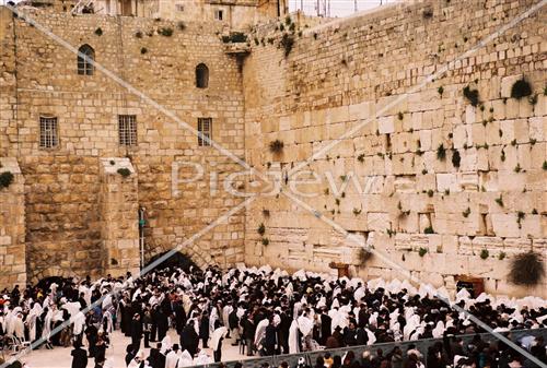 Prayer near the Kotel