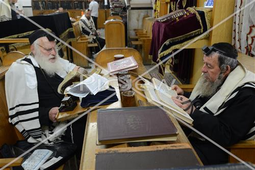 Torah learning